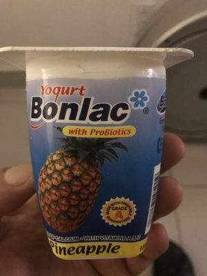 [047135] BONLAC YOGURT PINA 180G