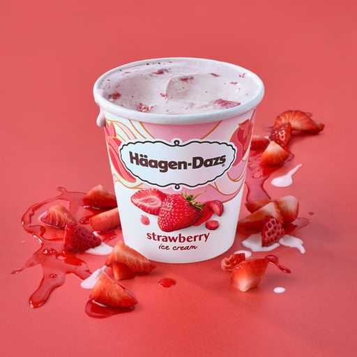 [041031] HAAGEN DAZS STRAWBERRY ICE CREAM 16 OZ