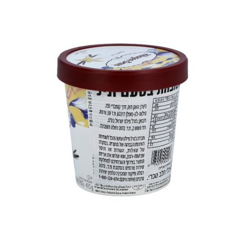 [041032] HAAGEN DAZS VAINILLA ICE CREAM 16 OZ
