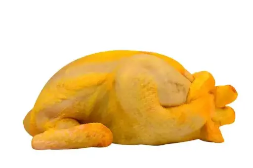 POLLO ORGANICO DE PATIO